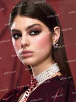 پالت هایلایتر و رژگونه کالکشن پروانه زرشکی شیگلم
