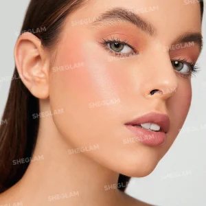 رژگونه استیکی شیگلم مدل Snatch N blush رنگ Dreamer