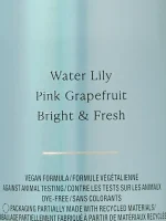 بادی اسپلش ویکتوریا سکرت رایحه Aqua Kiss