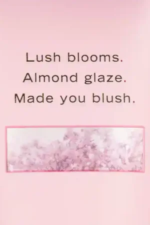لوسیون بدن ویکتوریا سکرت رایحه velvet petals
